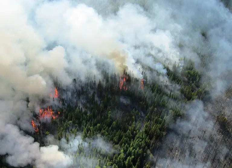 More And More Forest Fires In Northwestern Ontario