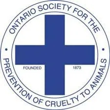 Ontario SPCA Relocating Stray Dogs
