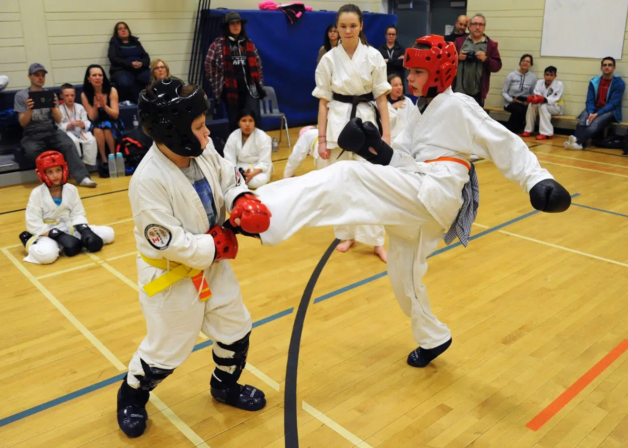 Good Showing For Local Athletes At Karate Tournament