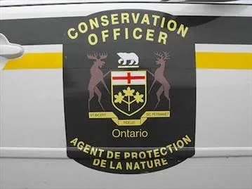 Four Men Charged For Illegal Hunting Near Ear Falls