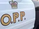 Stolen Transport Stopped Near Kenora