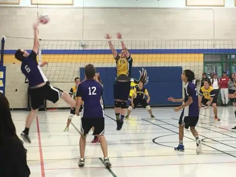 DHS Looking For Jr. Boys Volleyball Coach