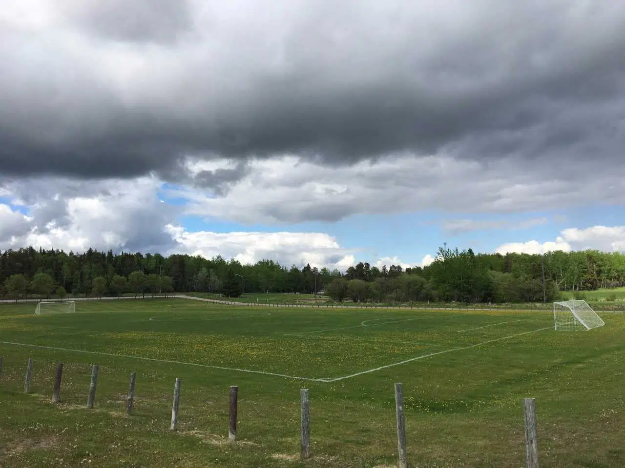 Dryden Senior Soccer Returns