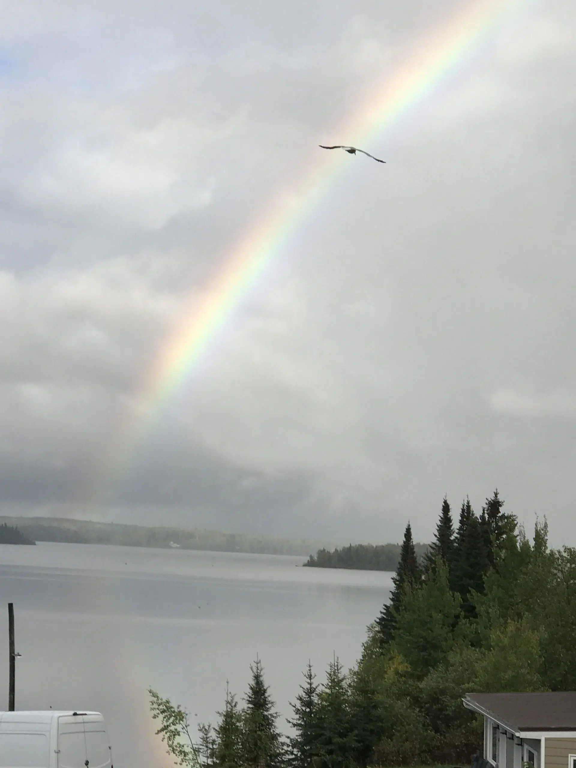 Nature's Beauty - Calm After The Storm 