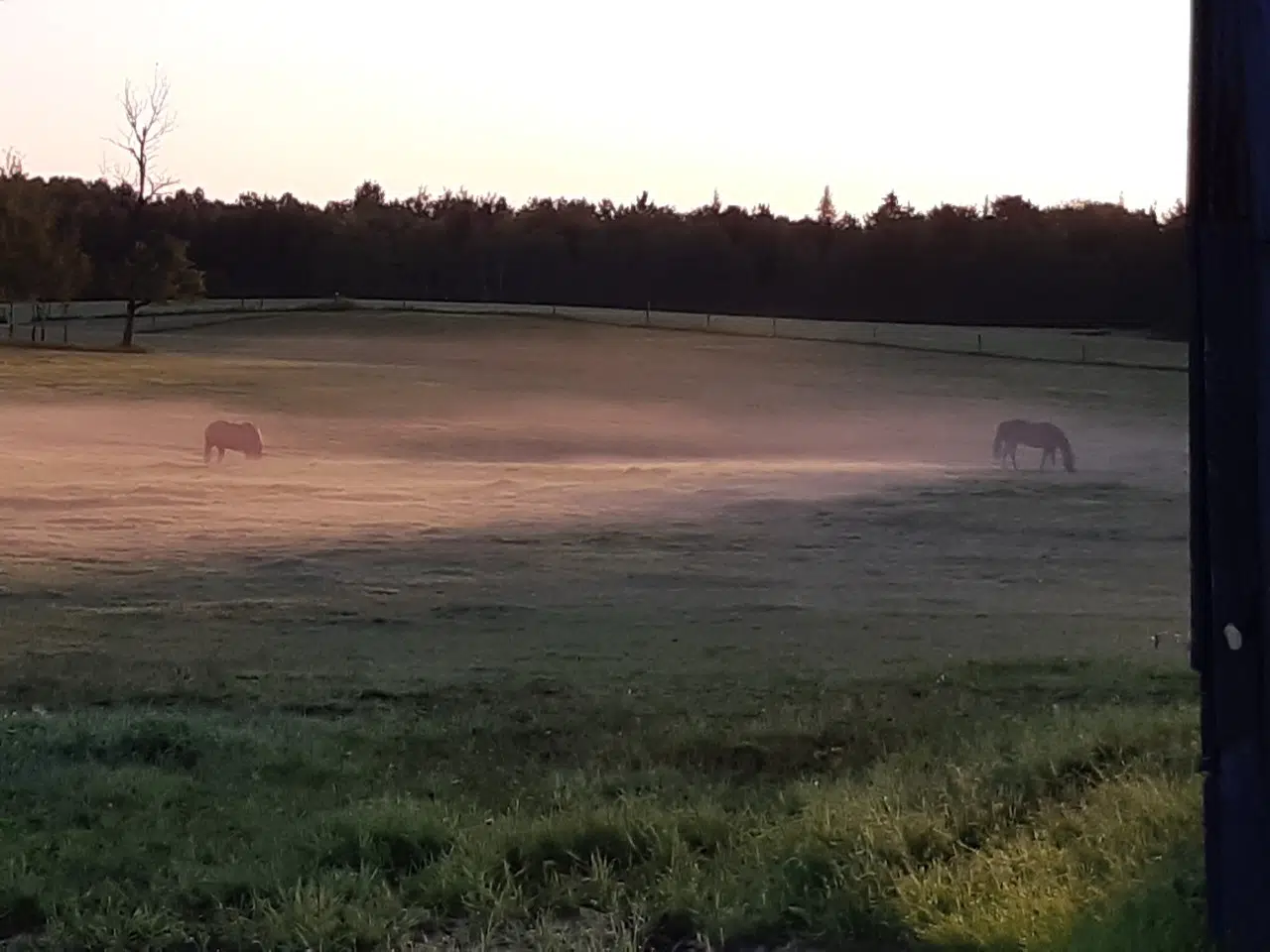 On The Farm In Minnitaki