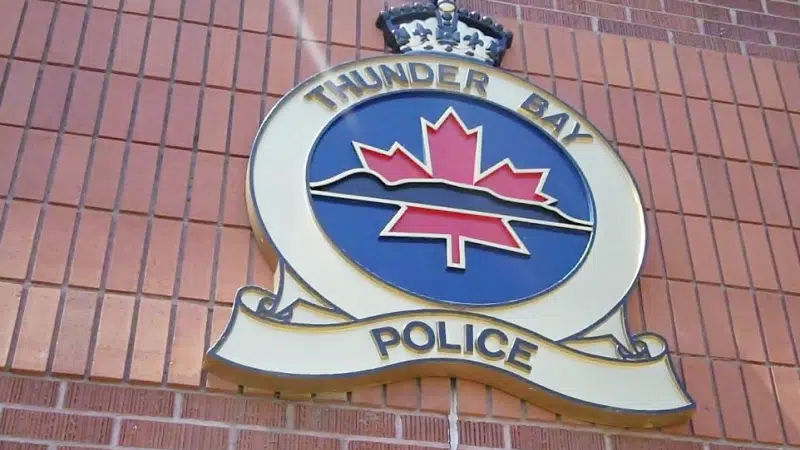 Thunder Bay Police Officer Faces Two Charges