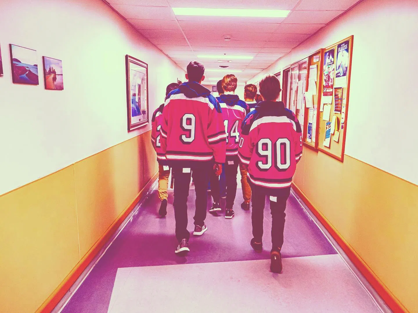 Ice Dogs Ready To Pink The Rink