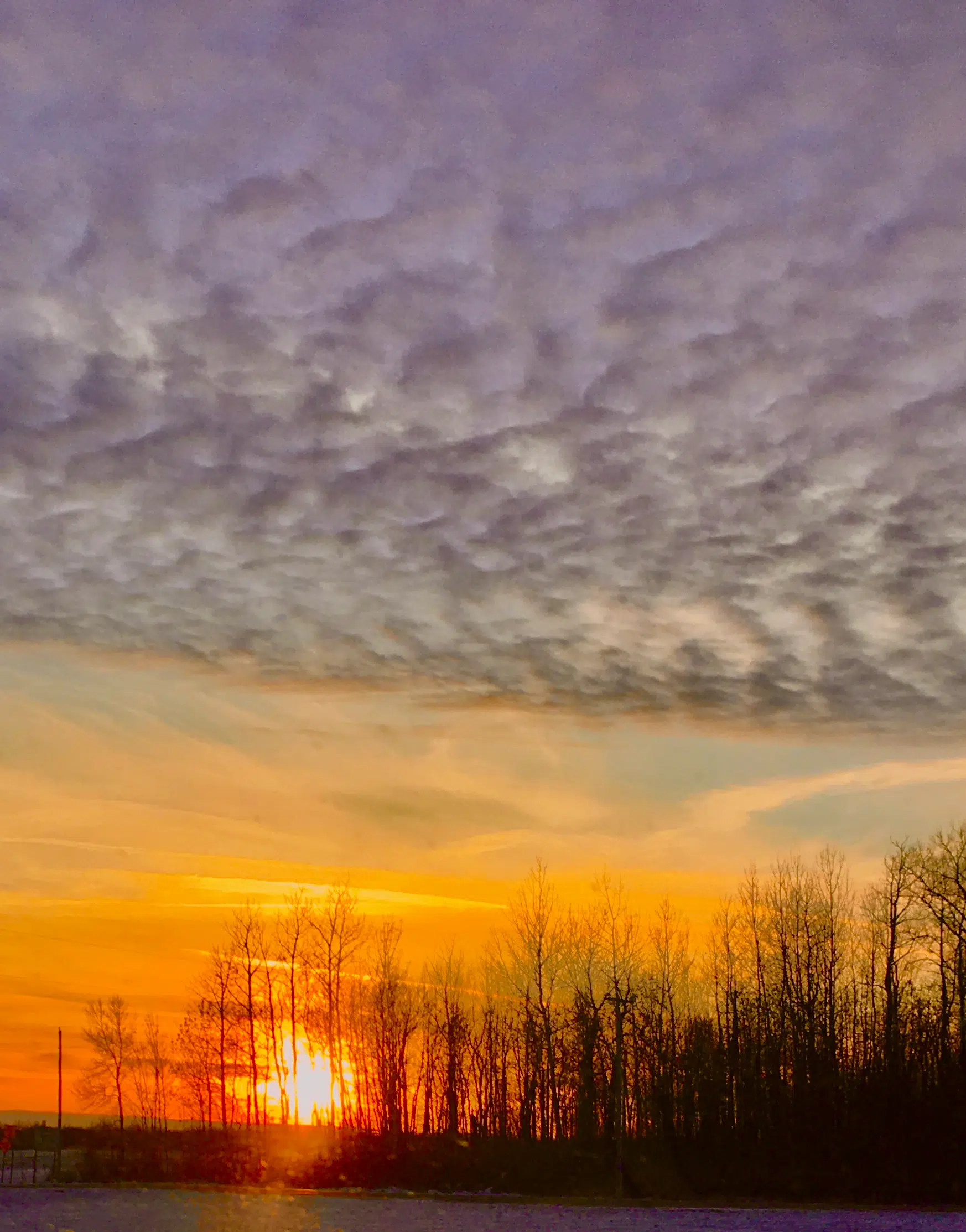 Sunset In A Marshmellow Sky