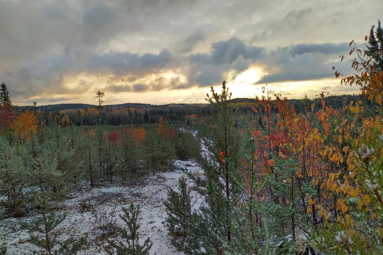 Fall Hanging On In Sunset Country