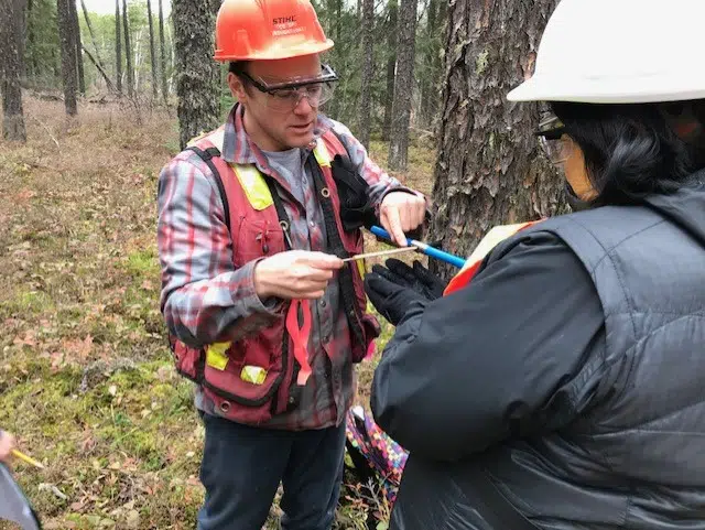 Local Teachers Attend Forestry Class