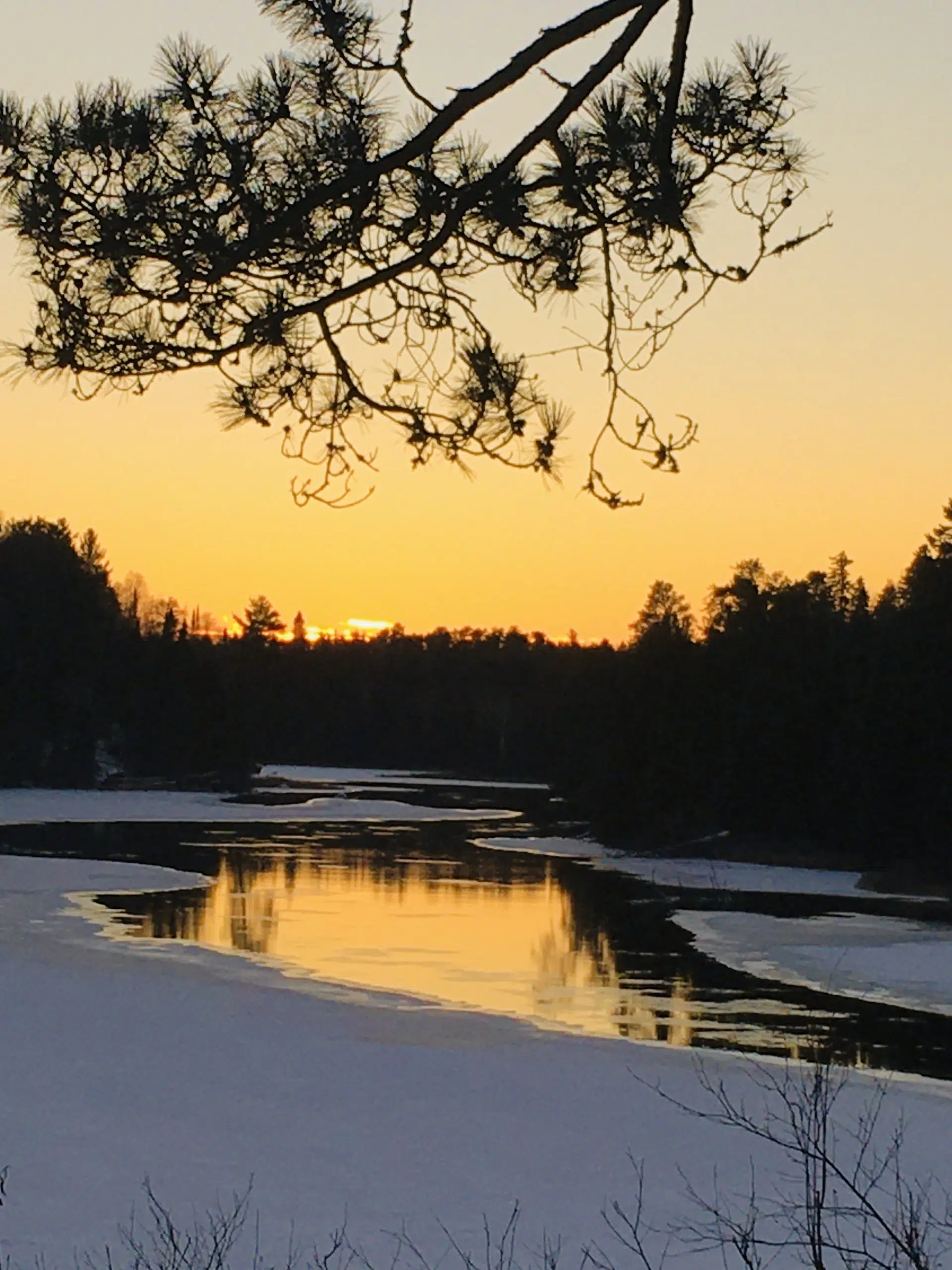 On Golden Pond