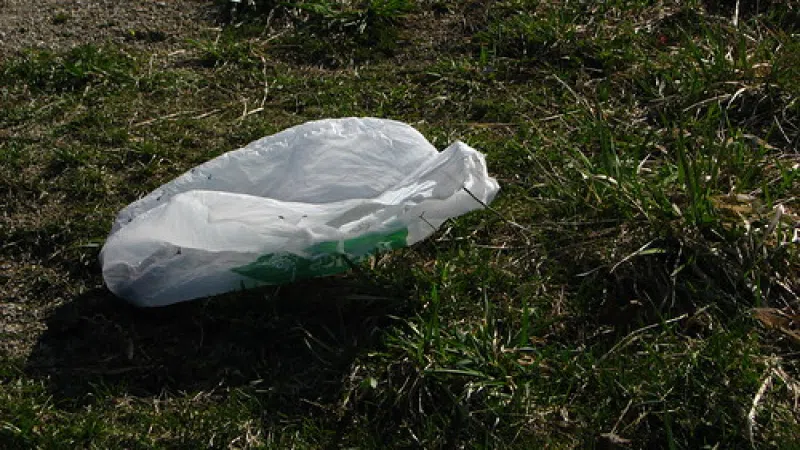 Fort Frances Council Bans Plastic Shopping Bags