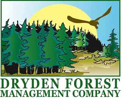 Feedback Encouraged For Dryden Forest Plan