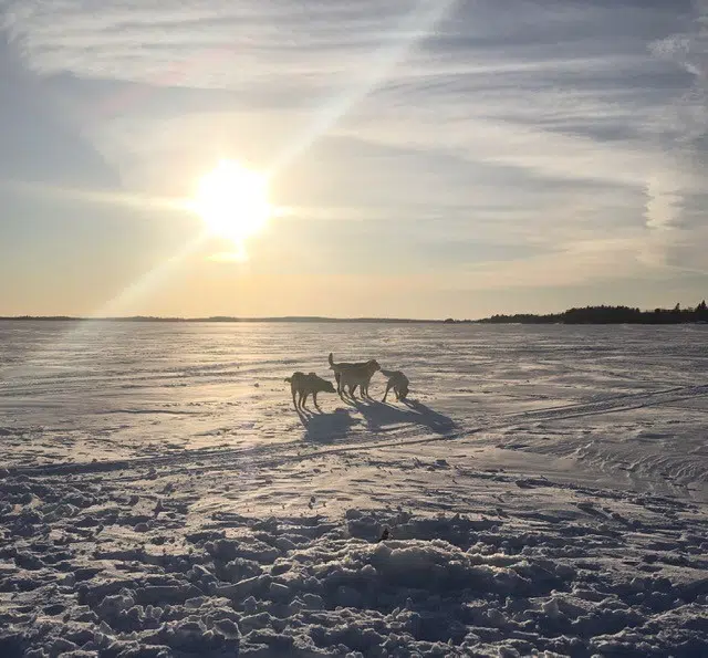 Wabigoon Lake 