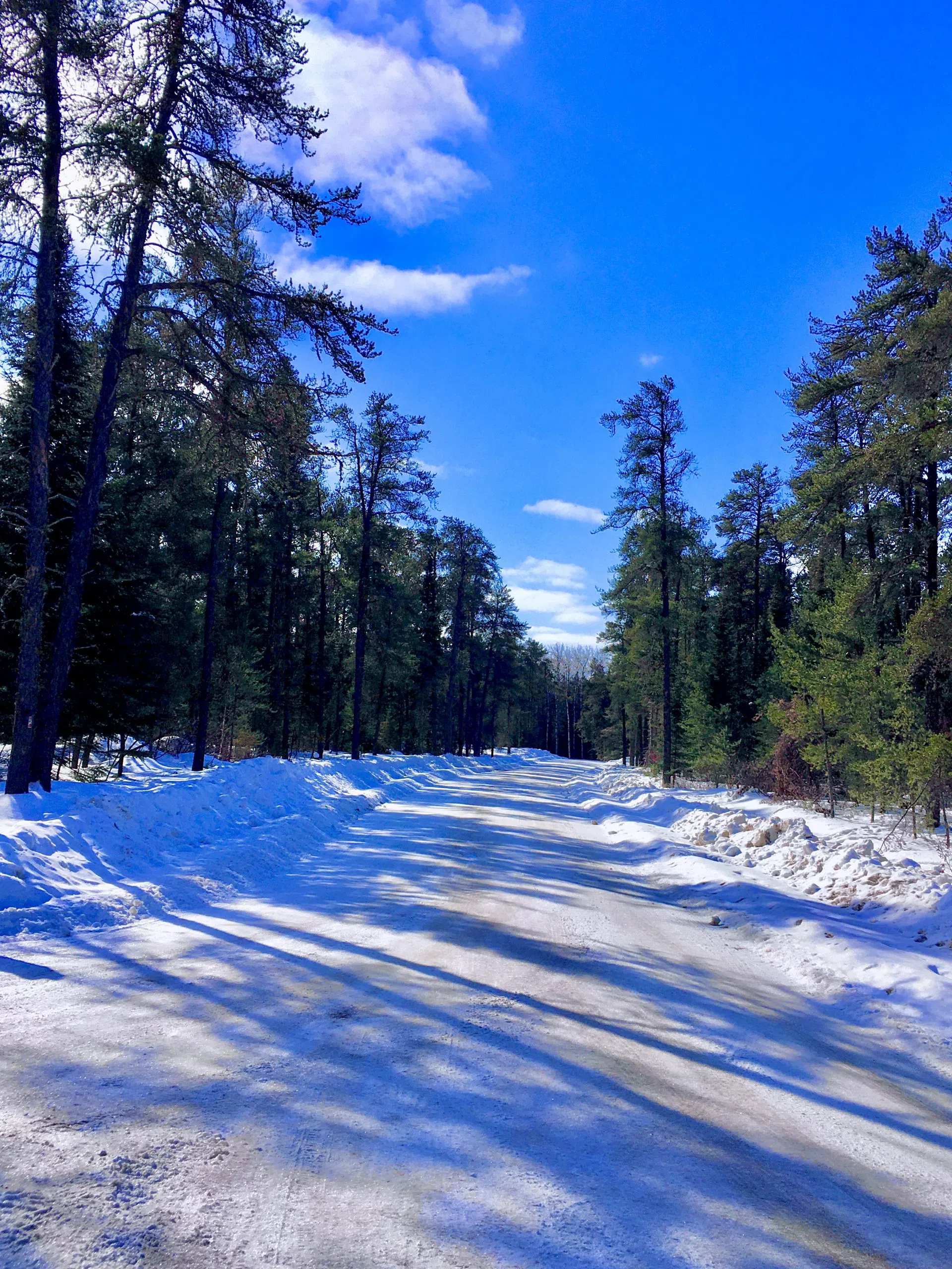 Sunshine, Shadows & Snow 