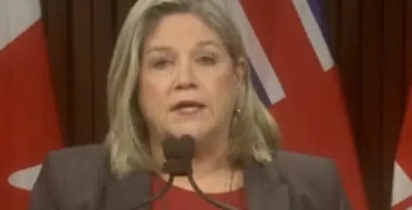 Ontario NDP Calling For Long Term Home Changes