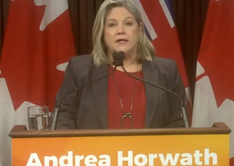 Provincial NDP Leader Calling For More Supports