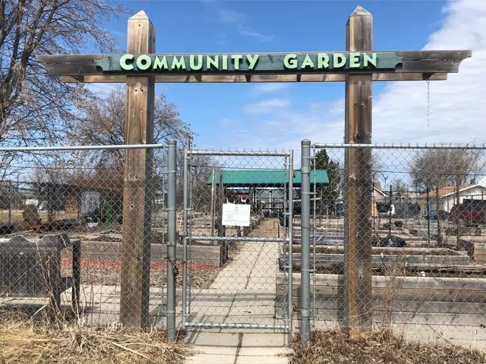 Plans Underway To Open Community Gardens