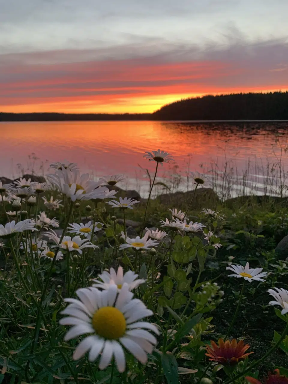 Bailey Lake