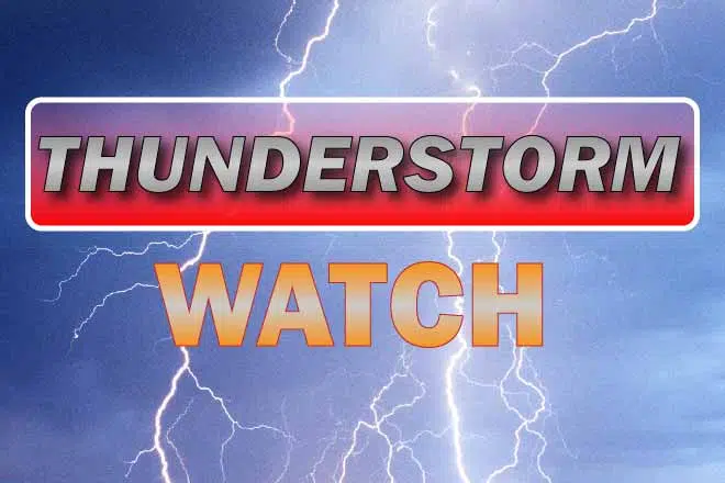 Severe Thunderstorm Watch Issued