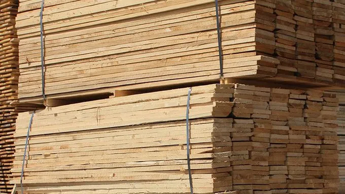 WTO Rules In Favour Of Canada In Softwood Dispute