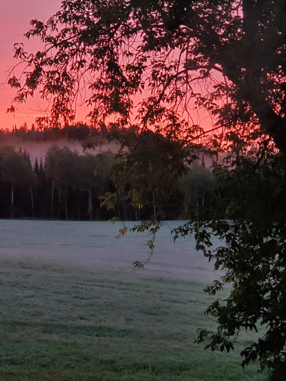 Frosty Sunrise