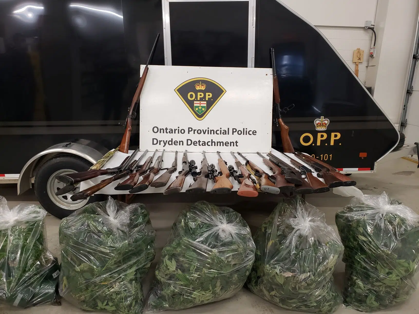 Firearms And Cannabis Plants Seized By Dryden OPP