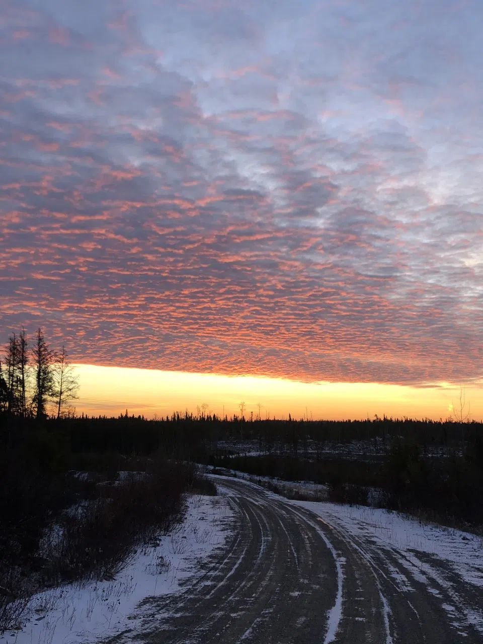 Moose Camp Sunrise