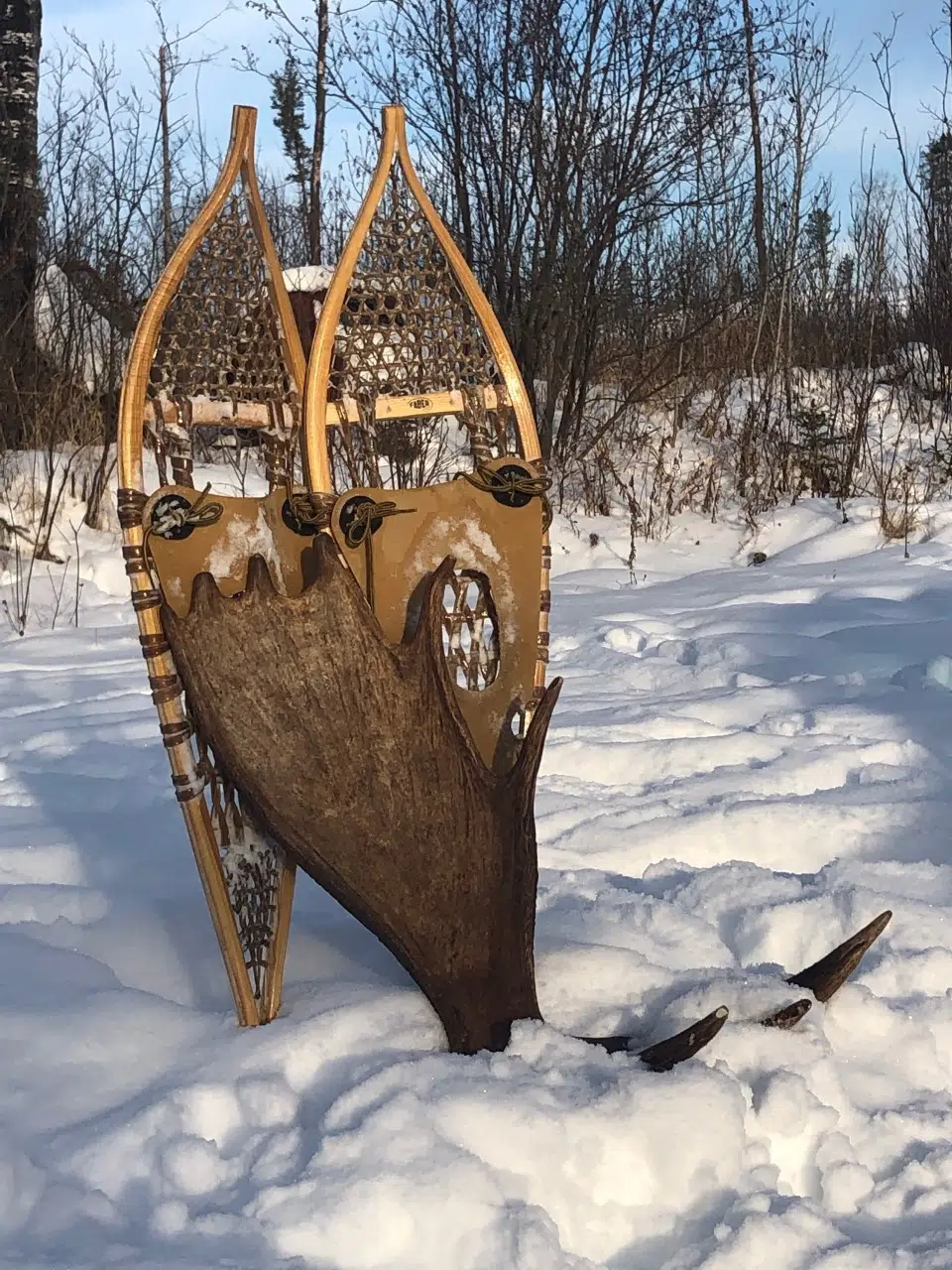 Snowshoeing & Shed Hunting