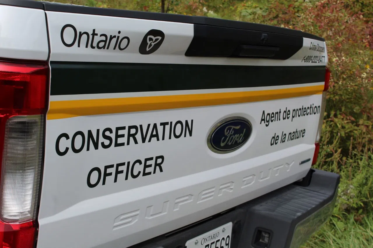 Vermilion Bay Man Fined For Illegal Hunting