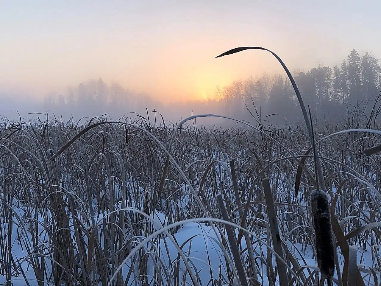 Red Lake Ice Fog