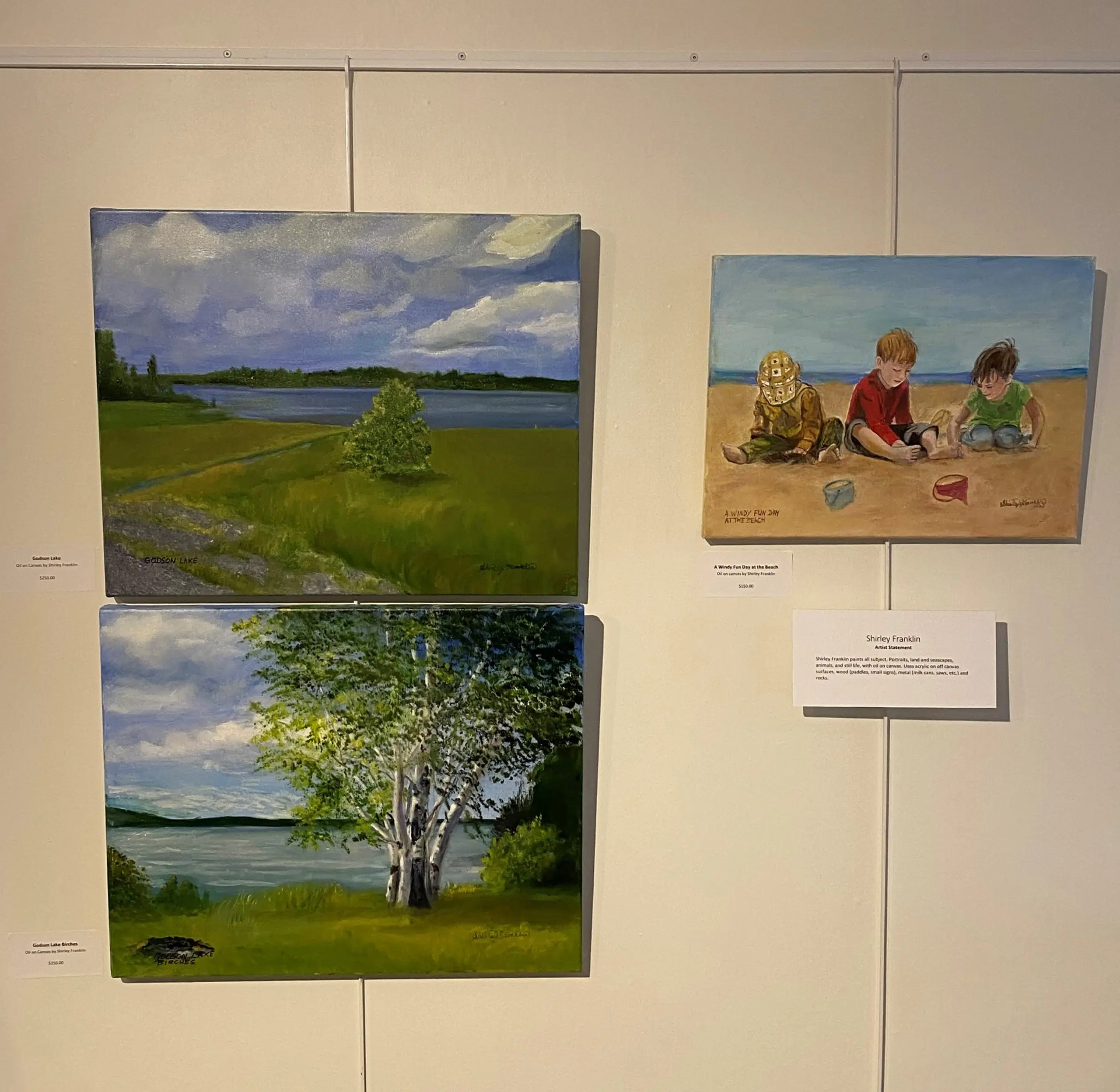 Dryden Artists' Association Show Cased At Museum