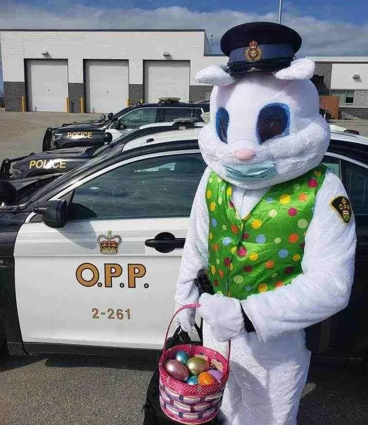 Easter Bunny Visiting Machin/Wabigoon Area Saturday