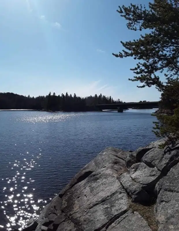 Bear Narrows On Eagle Lake