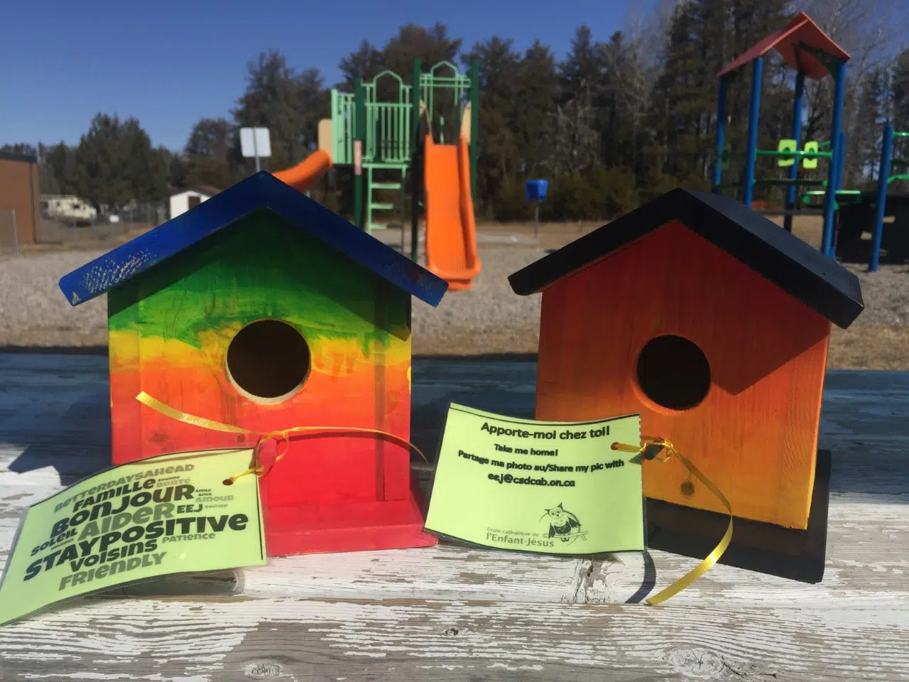 Birdhouse Initiative In Dryden Brings Joy To Community