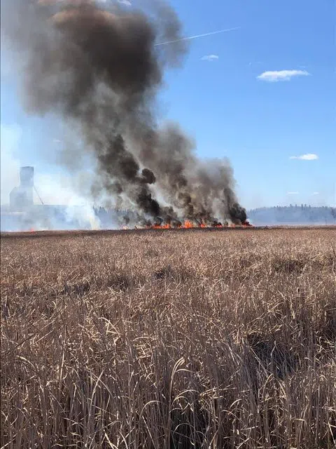 Grass Fire In Balmertown