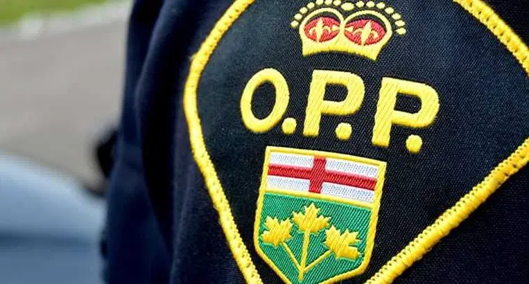 Weekly Calls Down For Dryden, Ignace OPP