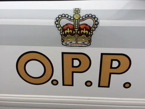 Dryden, Ignace OPP Weekly Call Report