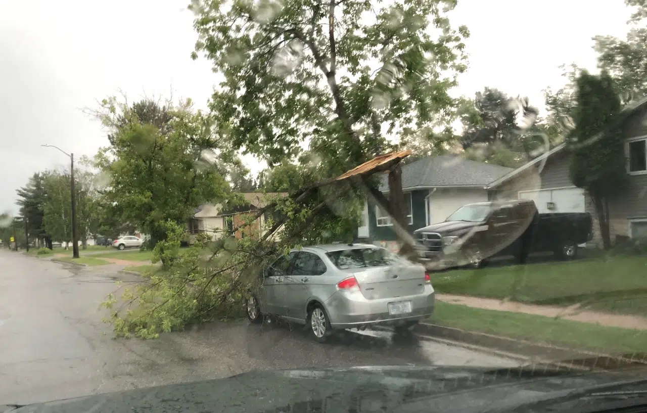 Major Storm Causes Significant Damage Across Region