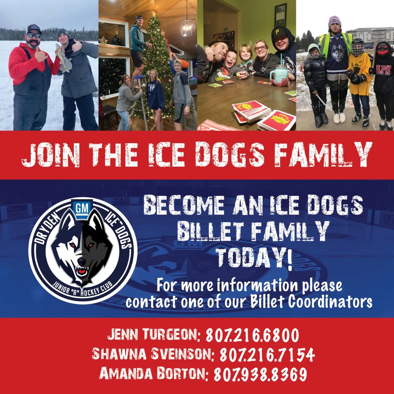 Ice Dogs Seeking Billet Families