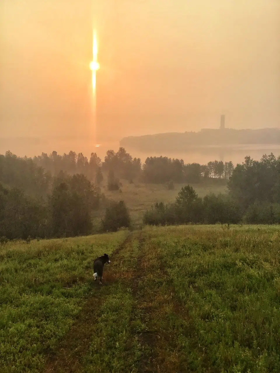 Smoky Morning Walk