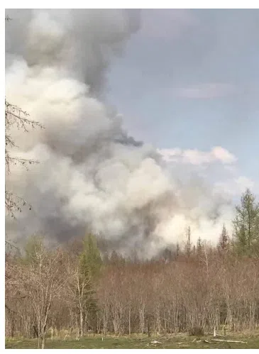 Big Spike In Forest Fire Numbers