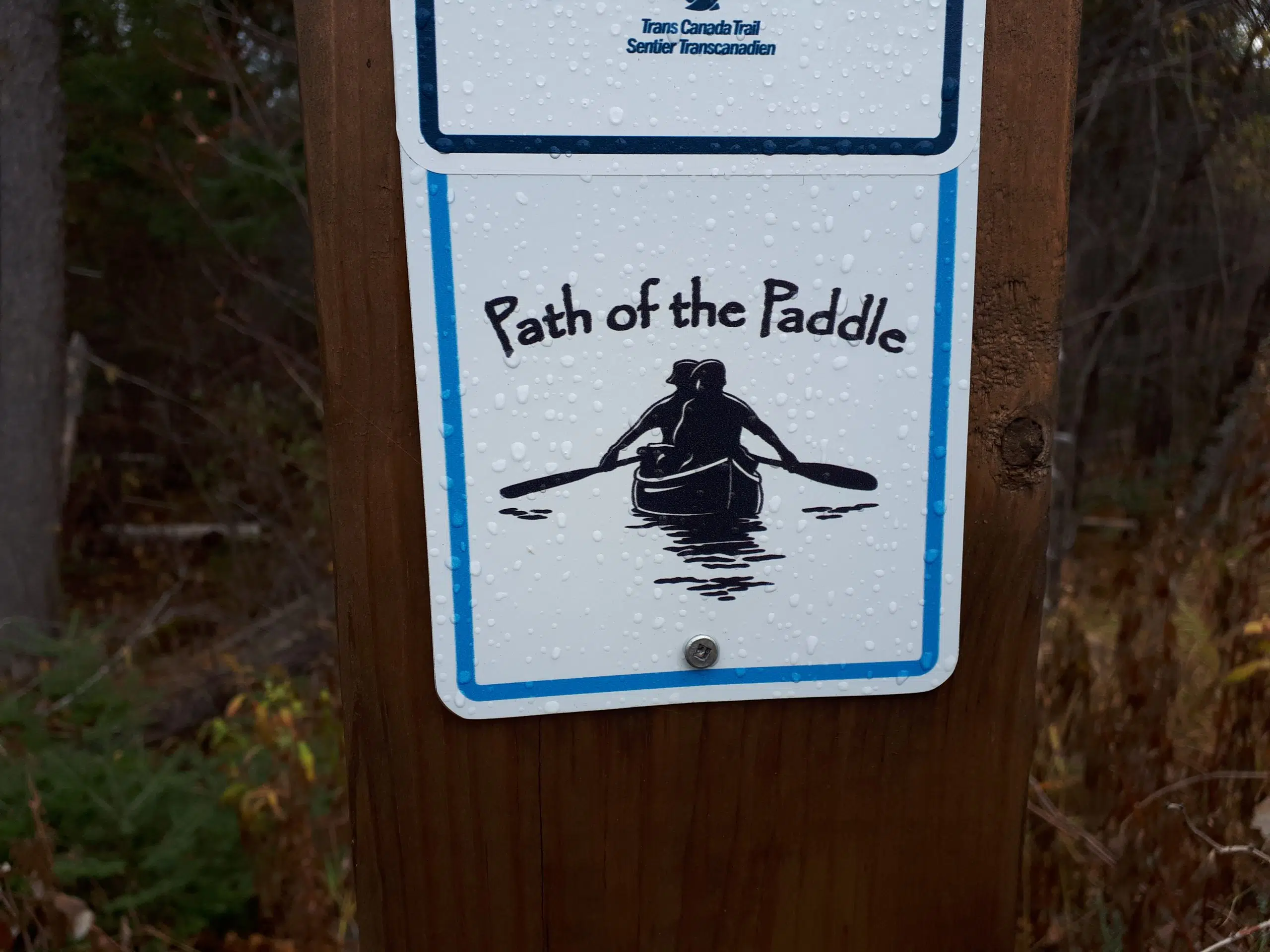 Path Of The Paddle Sprucing Up Trails