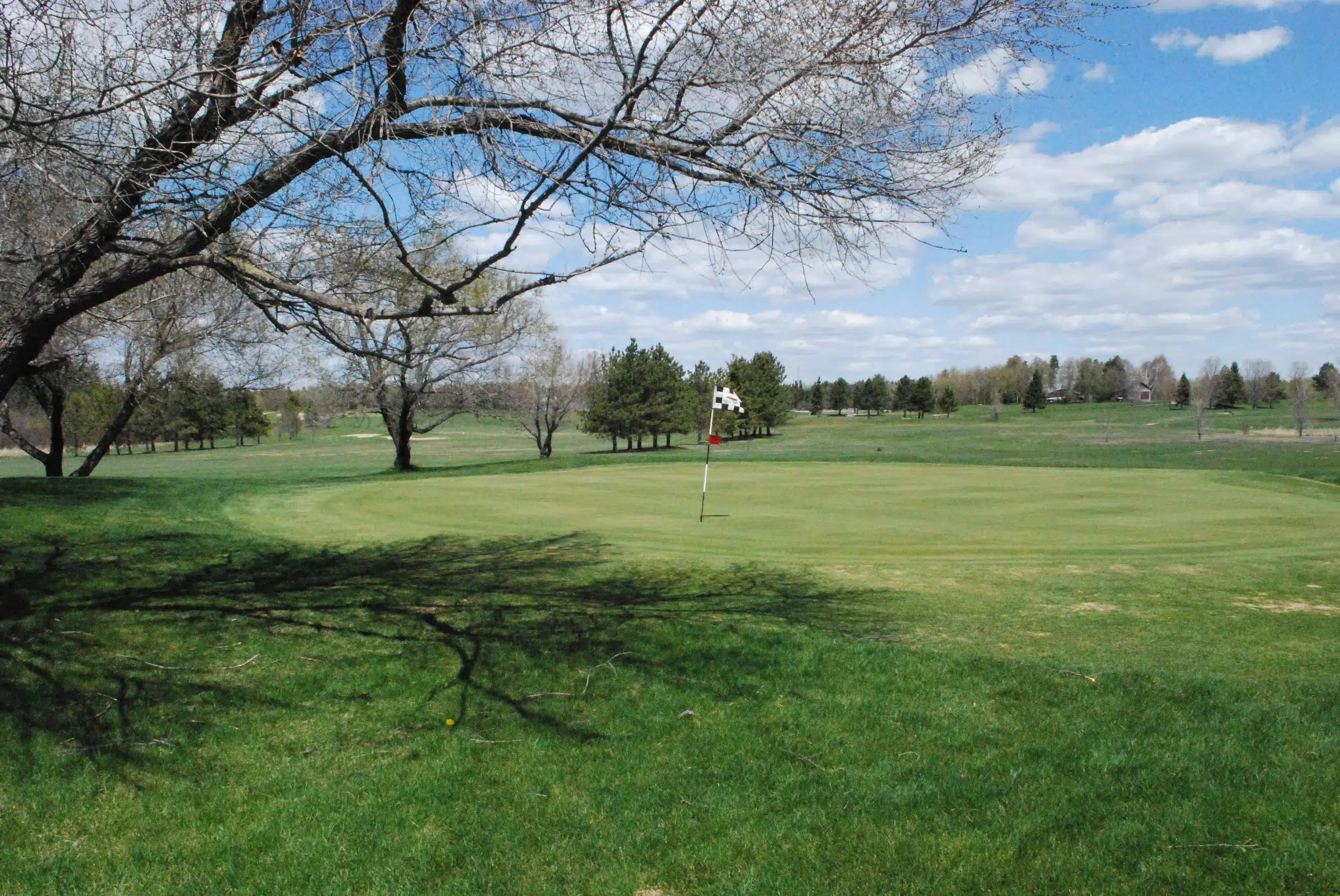 High School Golf Back From COVID Break