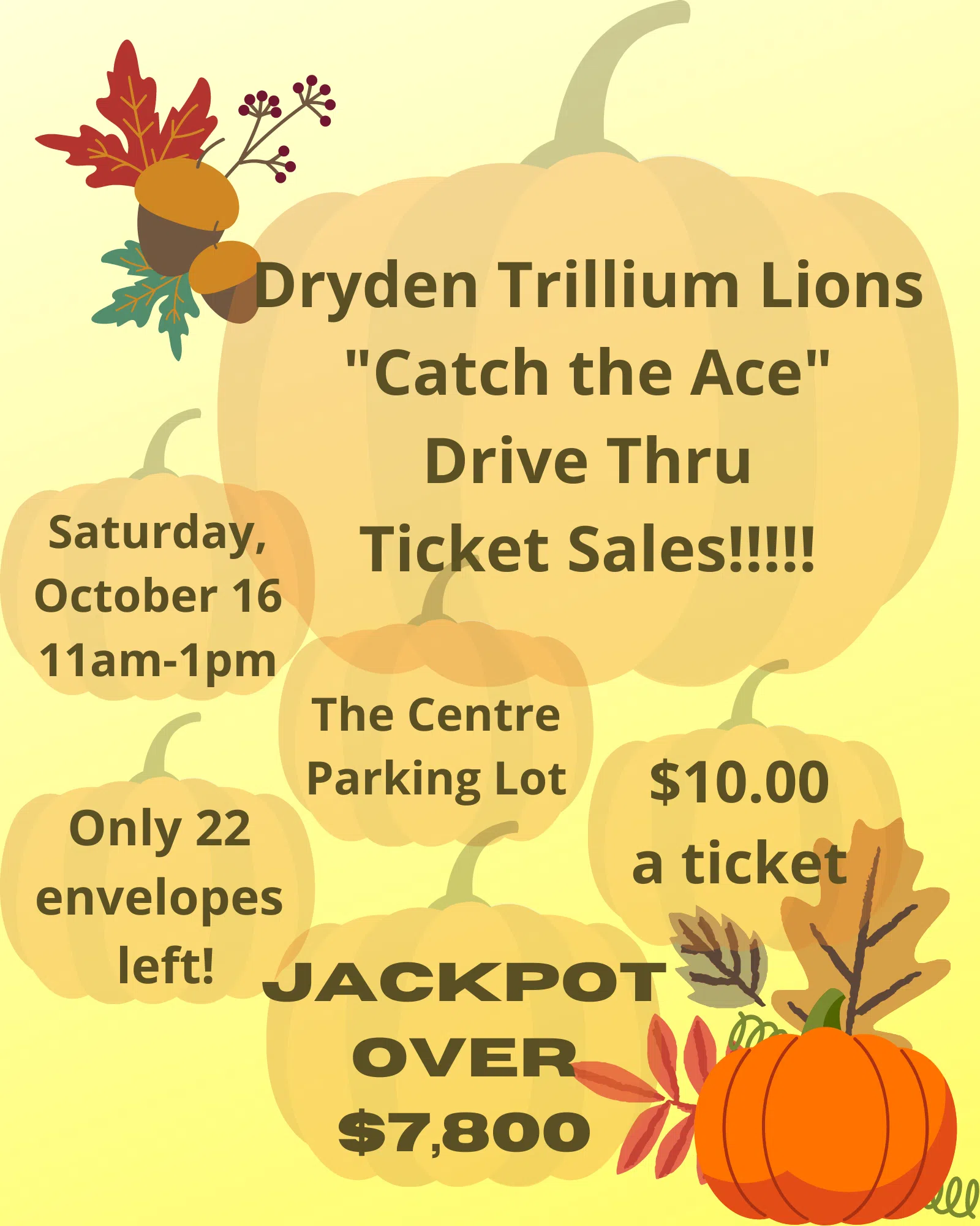 Dryden Lions 'Catch The Ace 50/50' Continues