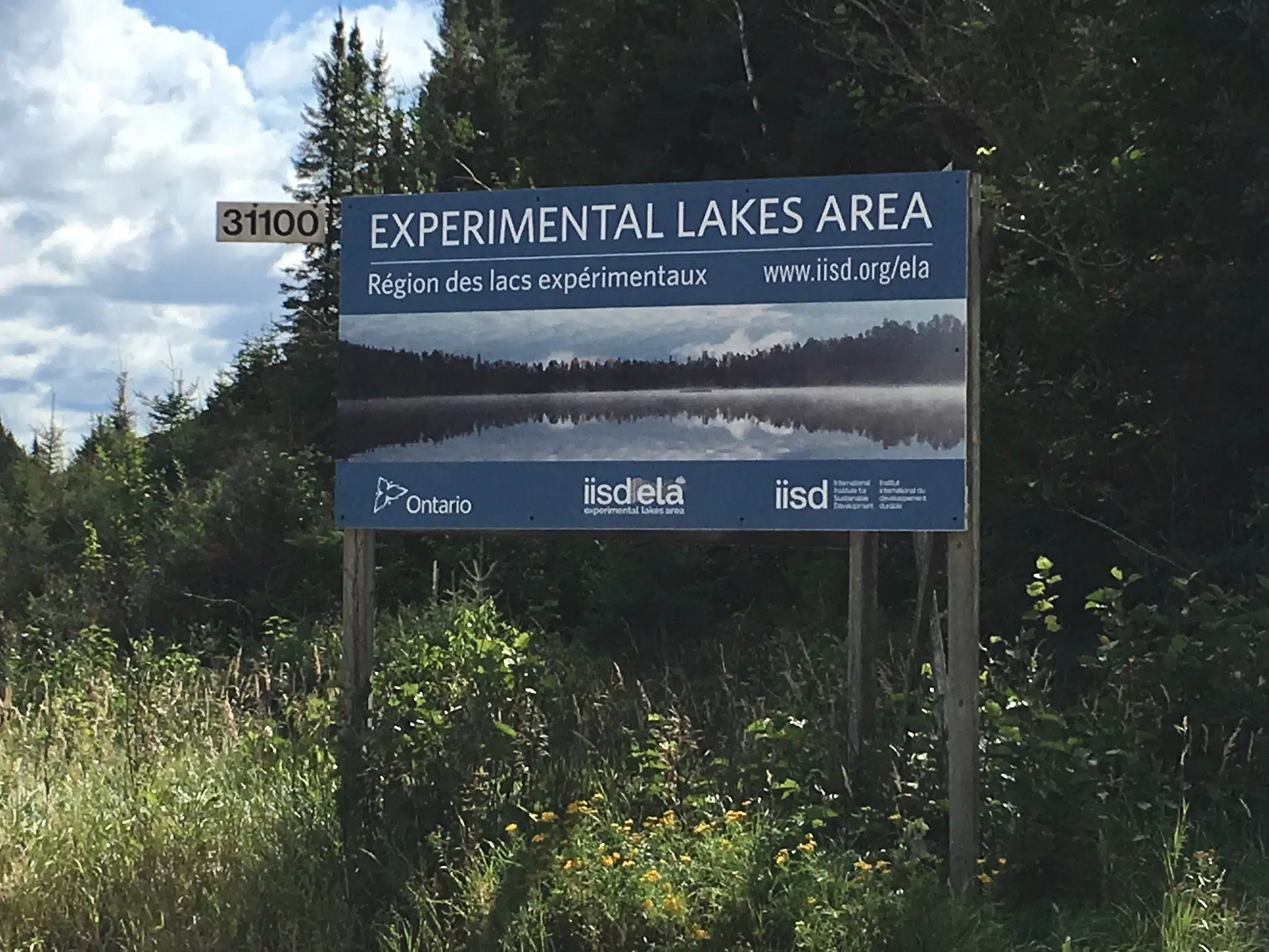ELA Study Shows Lake Trout Don't Age Like Humans