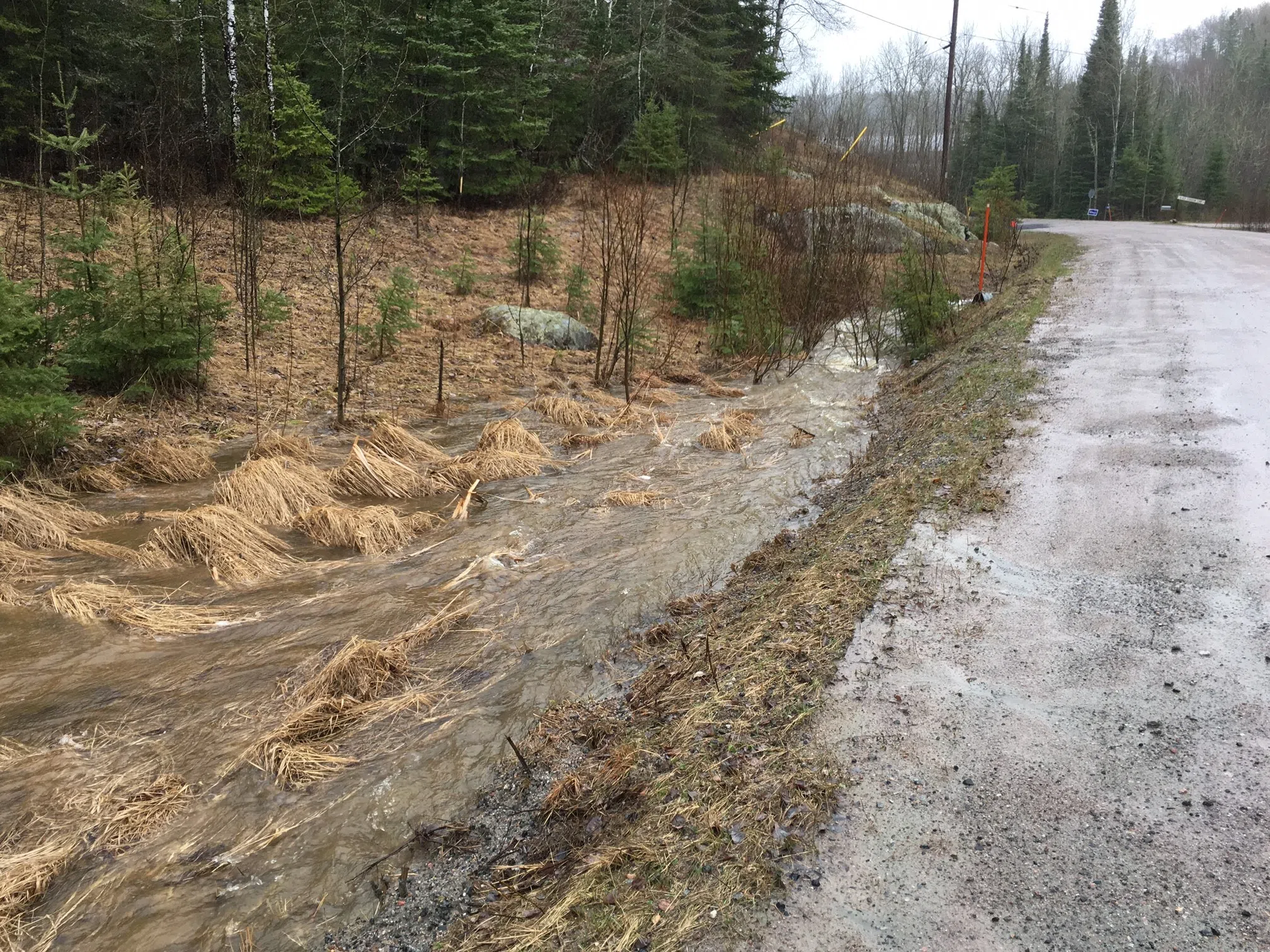 Kenora Tops Us All For Monday Rainfall