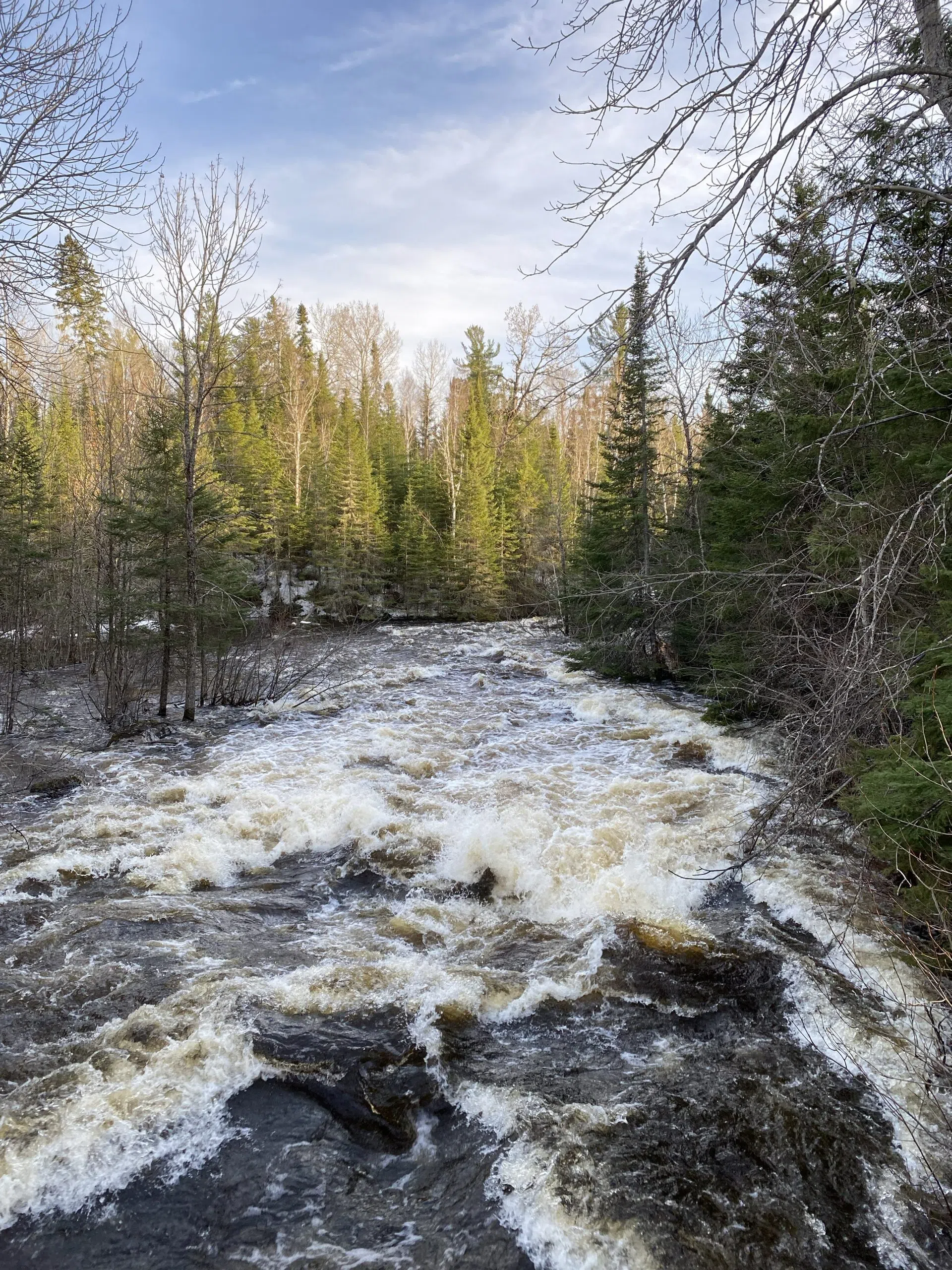 Ingall Falls Area