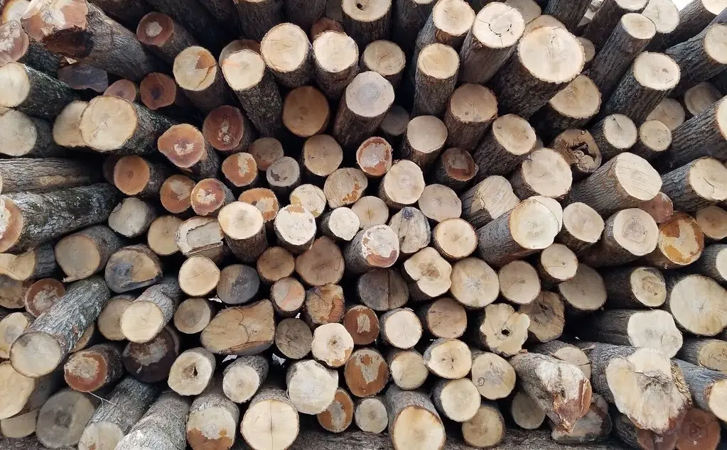 Ontario Calls For End To Softwood Lumber Duties