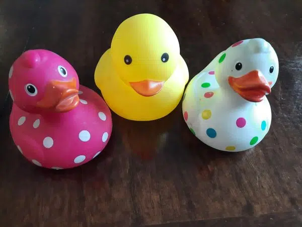 Dryden Rotary Hosting Lucky Duck Draw/Race